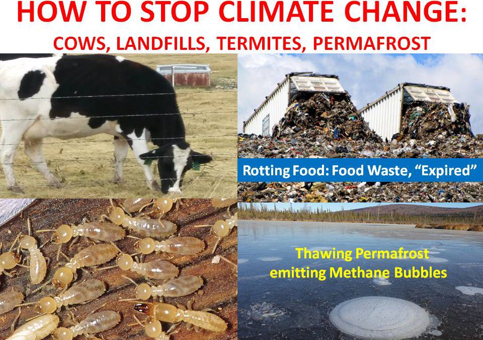 HOW TO STOP CLIMATE CHANGE AND BE HEALTHY: COWS, ROTTING FOOD IN LANDFILLS, TERMITES, PERMAFROST
