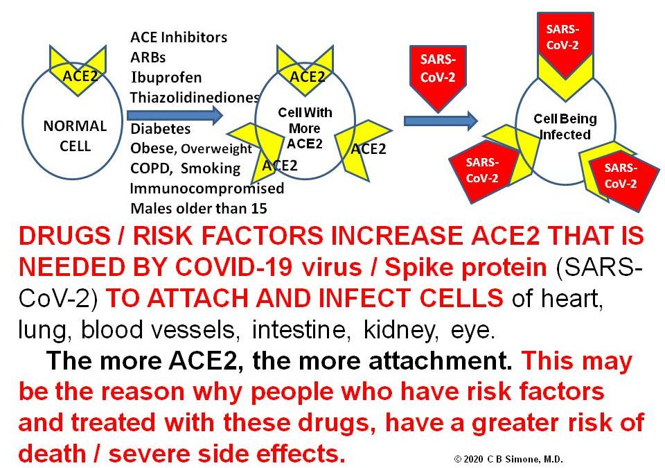 DRUGS / RISK FACTORS INCREASE RISK FOR SARS-CoV-2 (COVID-19) INFECTION