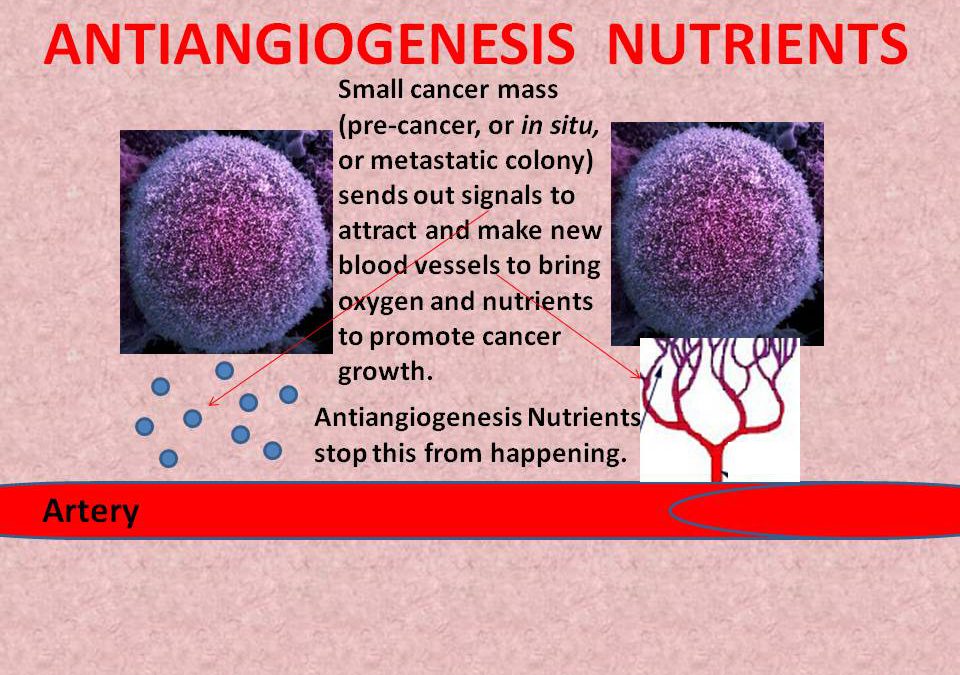 ANTIANGIOGENESIS NUTRIENTS