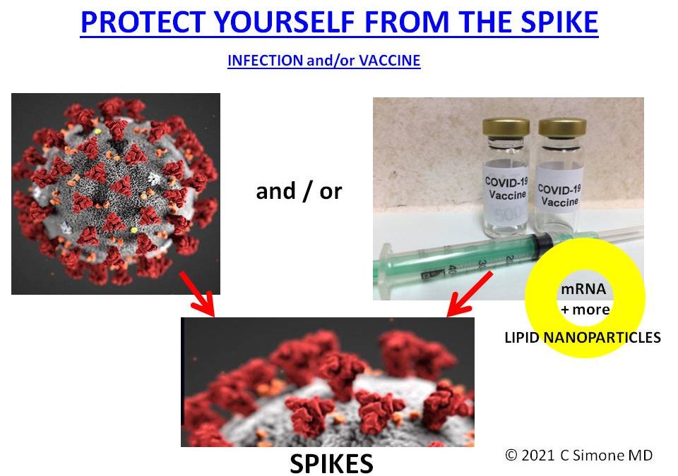 PROTECT YOURSELF FROM THE SPIKE: COVID-19 INFECTION and/or VACCINE – OUR NEXT HEALTH CRISIS